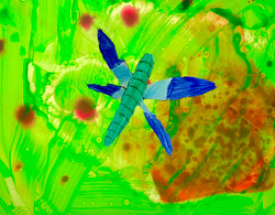 Dragonfly by Maeda, age 9