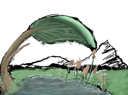 Swamp by Skai, age 14